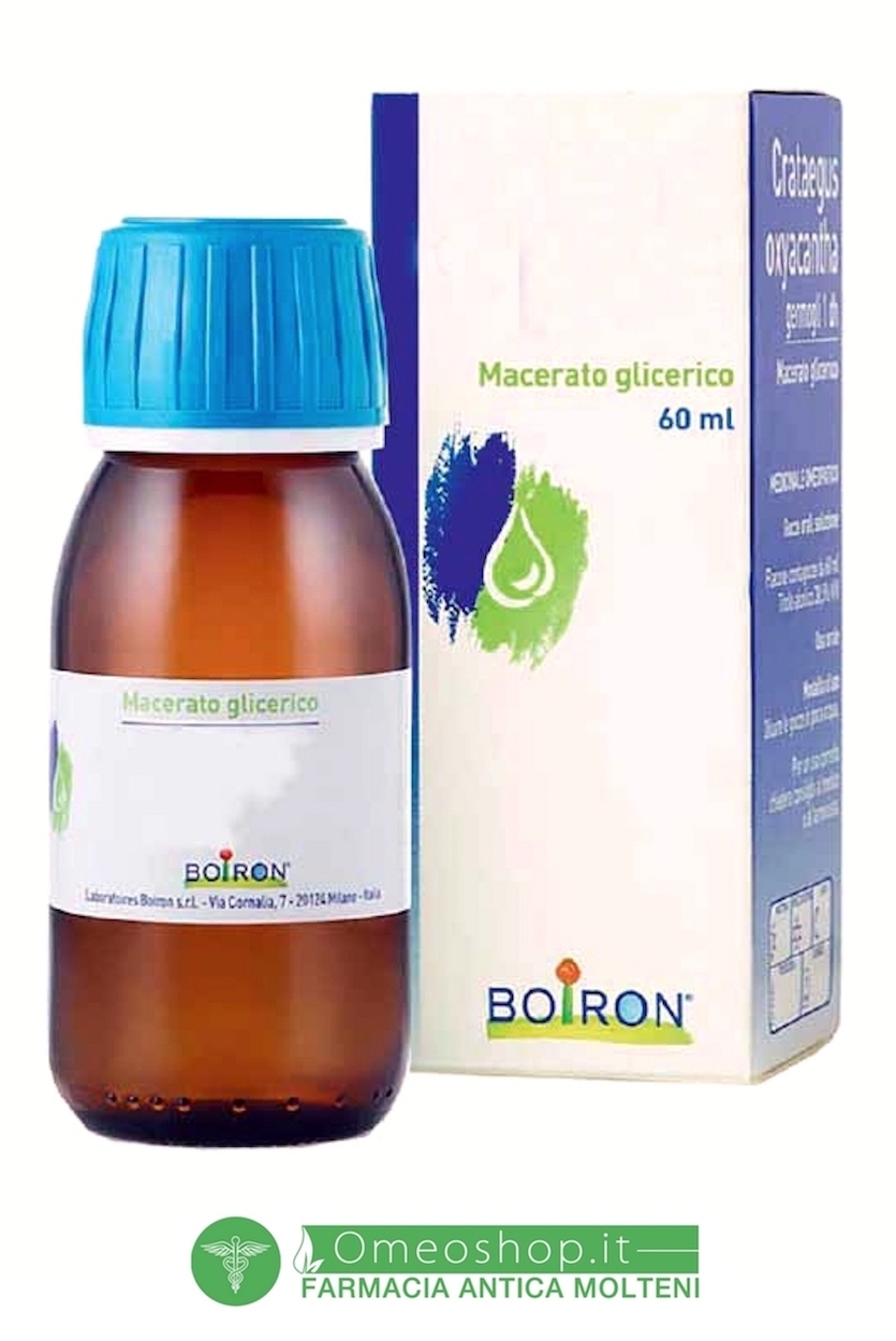 RIBES NIGRUM GEMME 60ML MG