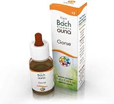 BACHFLOWER 13 GORSE 20ML GOCCE GUNA