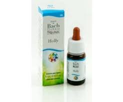 BACHFLOWER 15 HOLLY 20 ML GOCCE GUNA