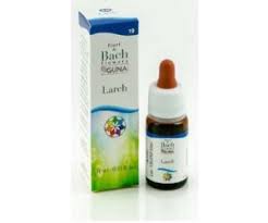 BACHFLOWER 19 LARCH 20ML GOCCE GUNA 