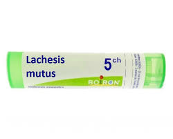 LACHESIS MUTUS 5CH GRANULI   BOIRON 